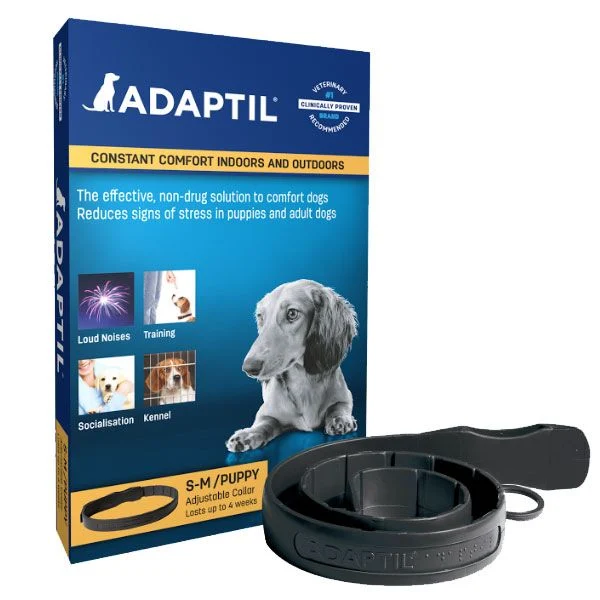 Adaptil dog collar