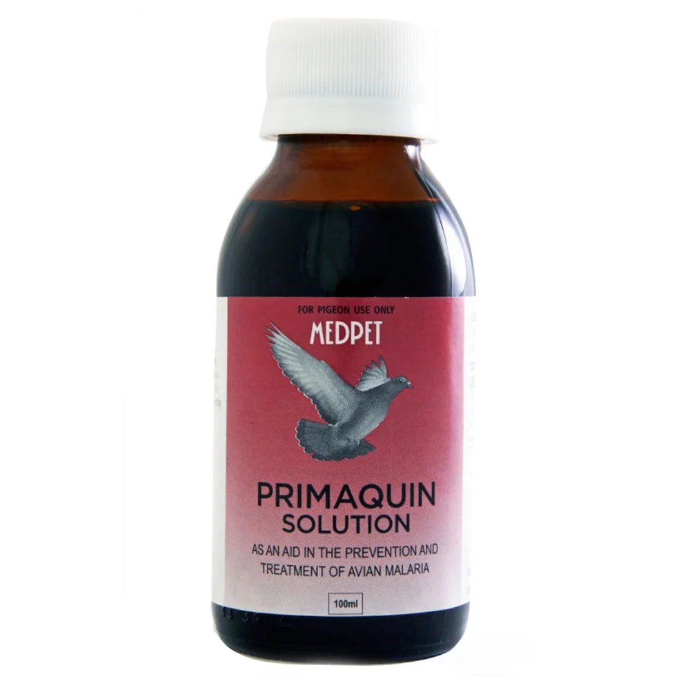 Primaquin Solution