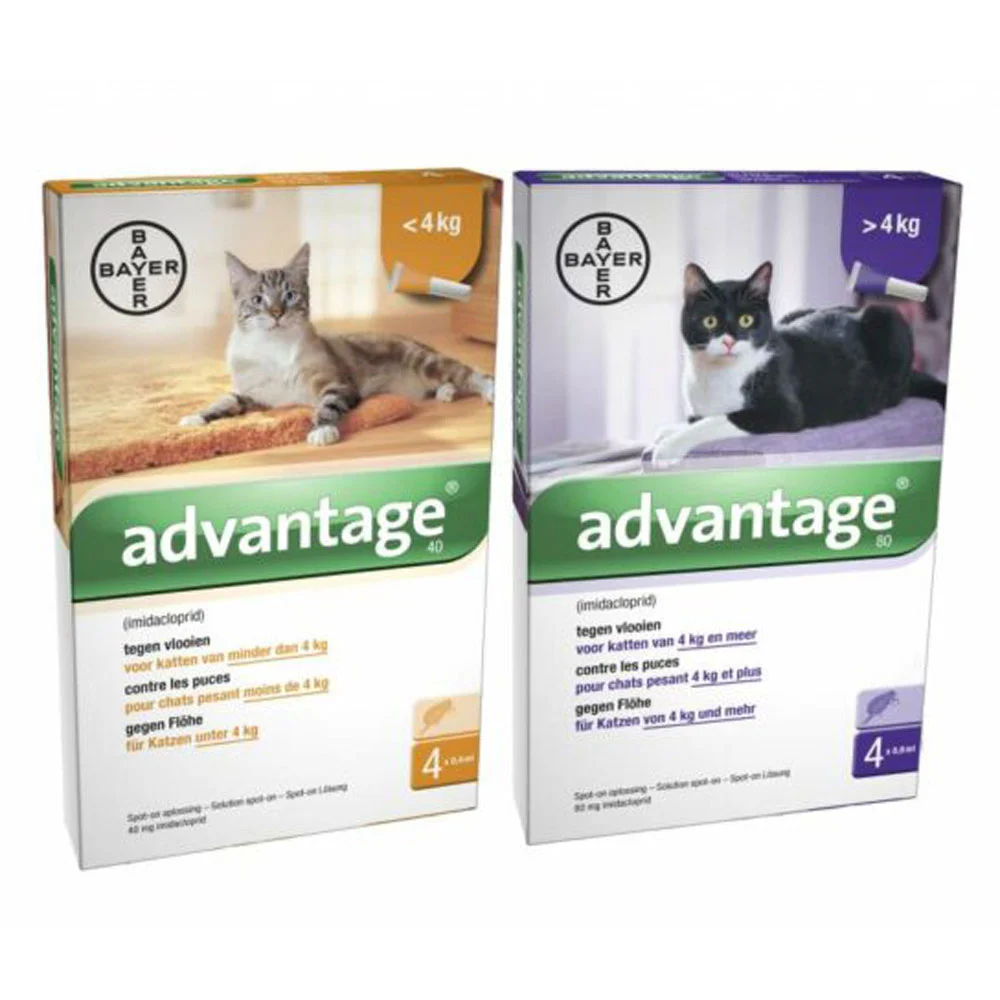 Advantage