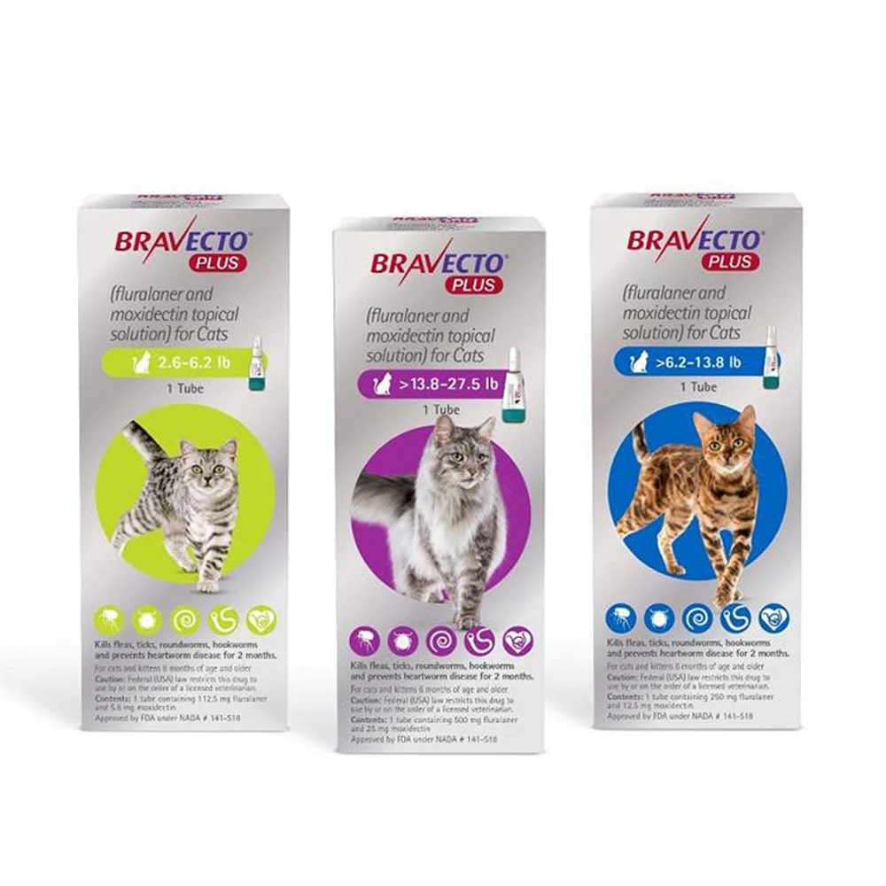 Bravecto Plus for cats