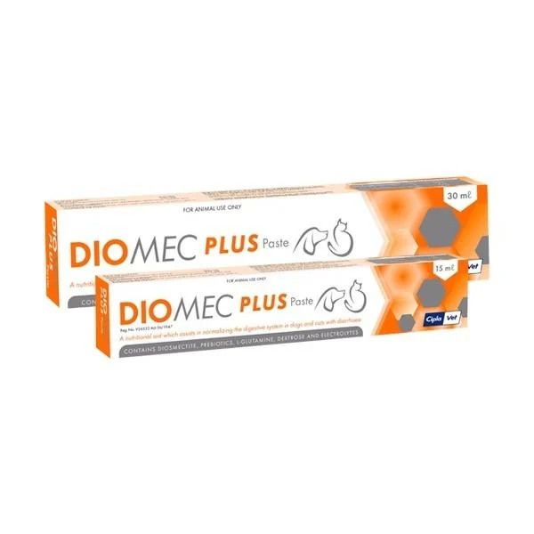 Diomec Plus paste